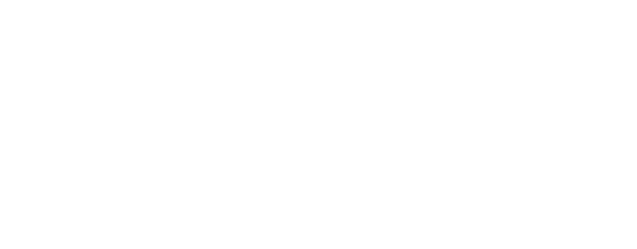 AK Services LLC